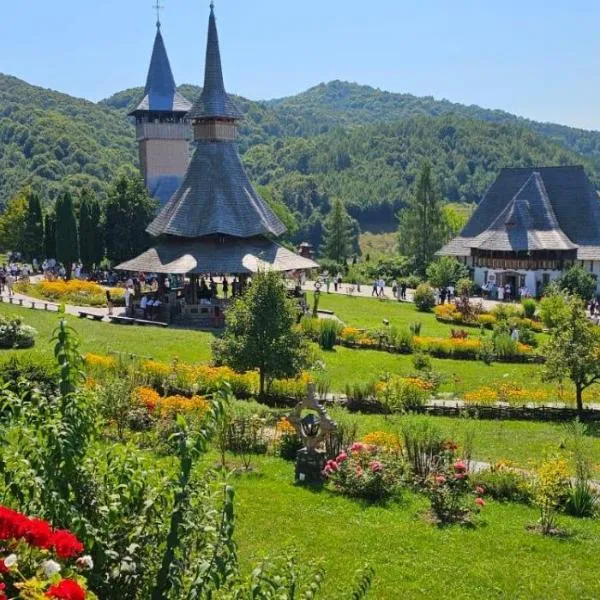 Vila Bârsana，位于Bîrsana的酒店
