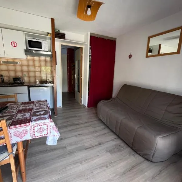 Studio Contamines-Montjoie，位于莱孔塔米讷蒙茹瓦的酒店
