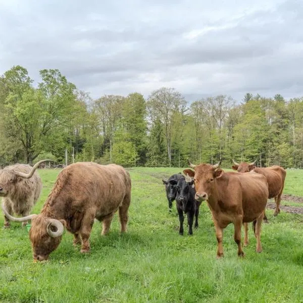 Highland Catttle Farm - Cozy Suite for Two - C，位于劳登的酒店