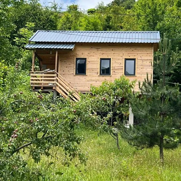 Ali's House 61,位于Anayurt的酒店