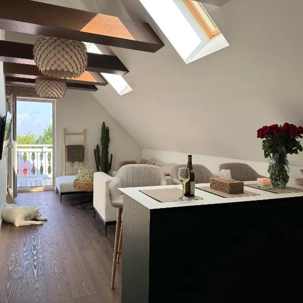 Apartamentai ant marių kranto，位于奈达的酒店