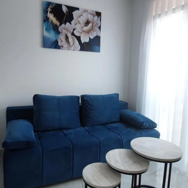 Apartman Vaske 1，位于布尔奇科的酒店