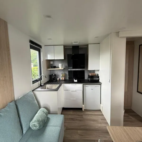 Chalet Rapidhome，位于昂布勒特斯的酒店