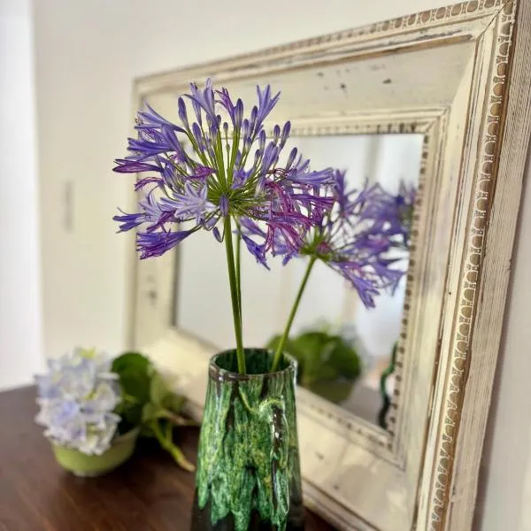 Casa das Amoreiras，位于坎普自由鎮的酒店