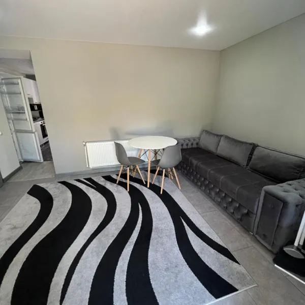 1-Edinet apartament Квартира Единец，位于埃迪内茨的酒店