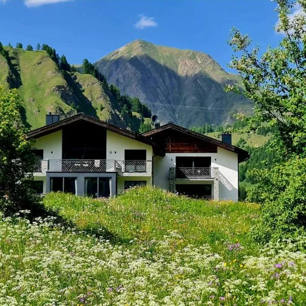 Engadin Lodge PREMIUM & PRIVATE，位于萨姆瑙恩的酒店
