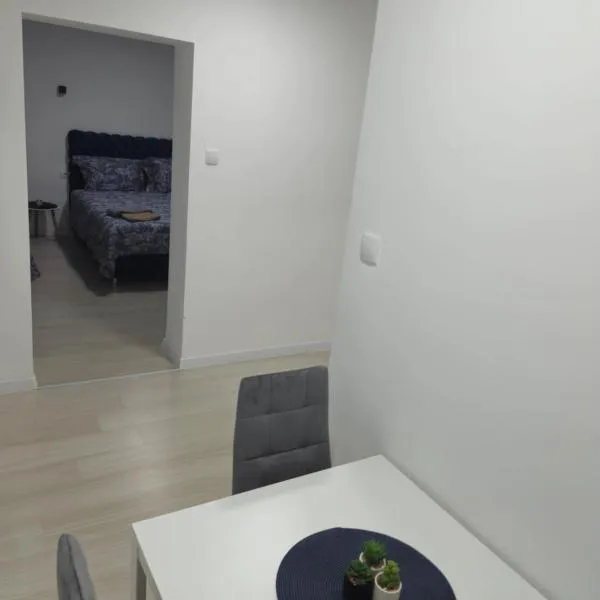 Apartman Jorgic，位于Pačir的酒店