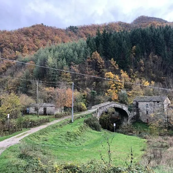 Appartamento Ponte Nuovo Premilcuore，位于普雷米尔库奥雷的酒店