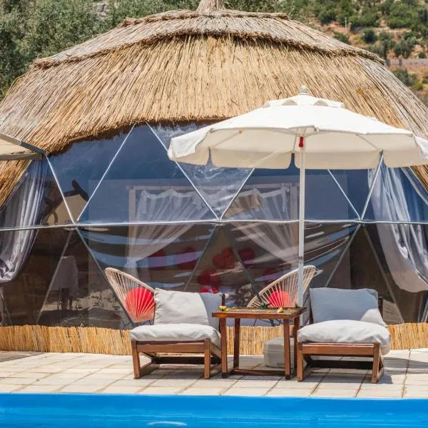 Kabak Freedom Deluxe Hotel，位于法拉尔雅的酒店