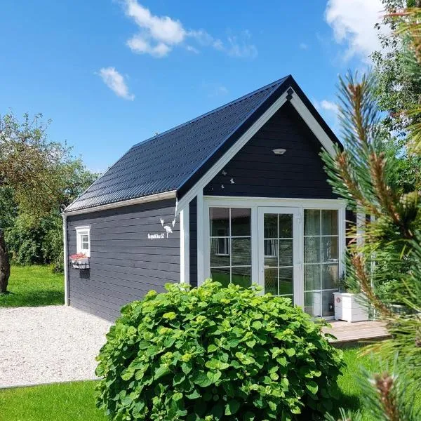 Apgyvendinimas Rokiskyje namukas Skandis，位于罗基什基斯的酒店