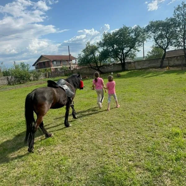 Ruralni kutak na padini Tumanskog Crnog vrha，位于Kučevo的酒店