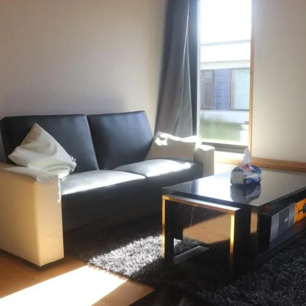 Cozy One Room Apartment，位于罗斯基勒的酒店