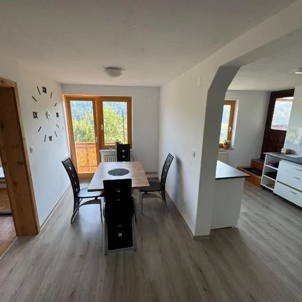 Apartma Petra，位于Selca的酒店
