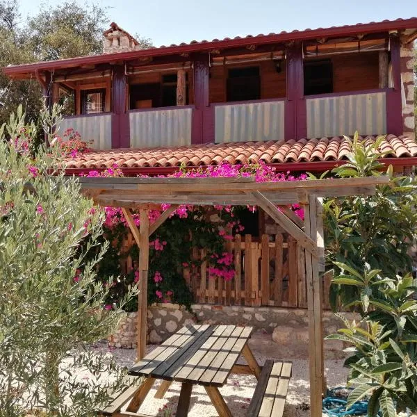 Private Restored stone house with terrace and gardens，位于代姆雷的酒店