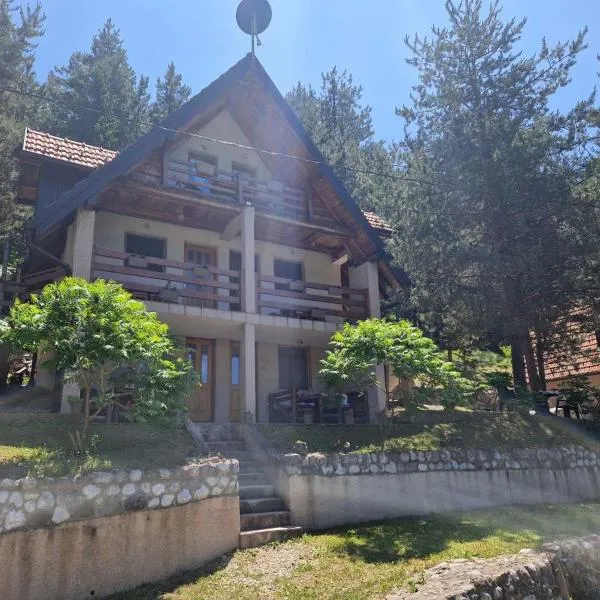 Vila Borovi，位于Zaovine的酒店