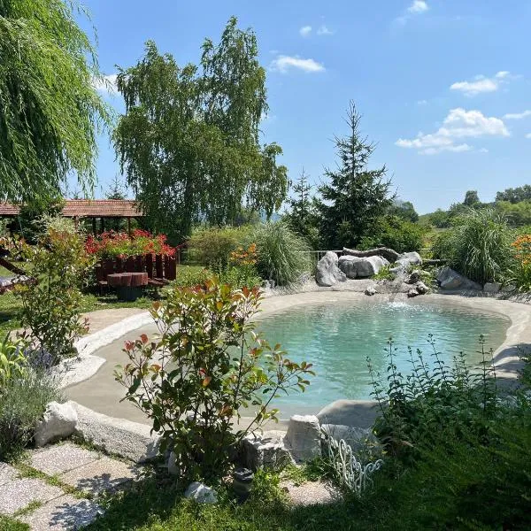 Šumski Dvori Apartment，位于奥古林的酒店