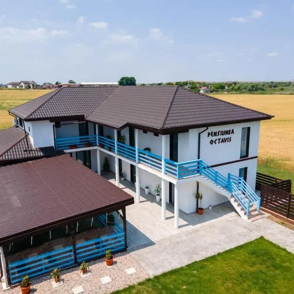 Pensiunea Octavis - Cazare în Delta Dunarii，位于穆里吉奥尔的酒店