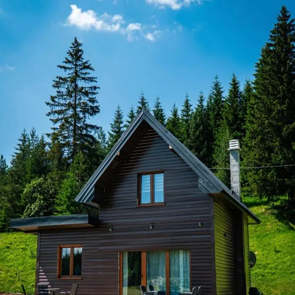 RESTovac House Zabljak，位于扎布利亚克的酒店