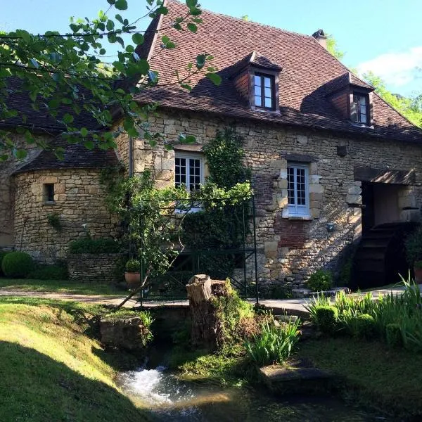 Le Moulin De La Beune，位于Journiac的酒店