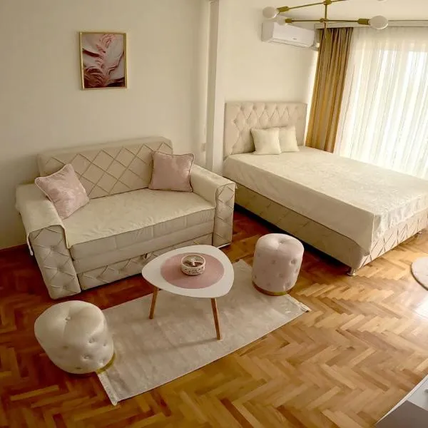 Apartman Nini，位于克拉列沃的酒店