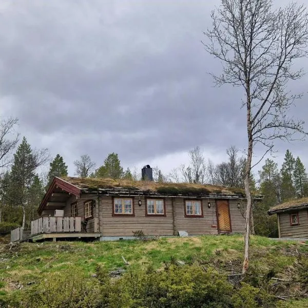 Timber Cabin With Views Near Røros，位于勒罗斯的酒店