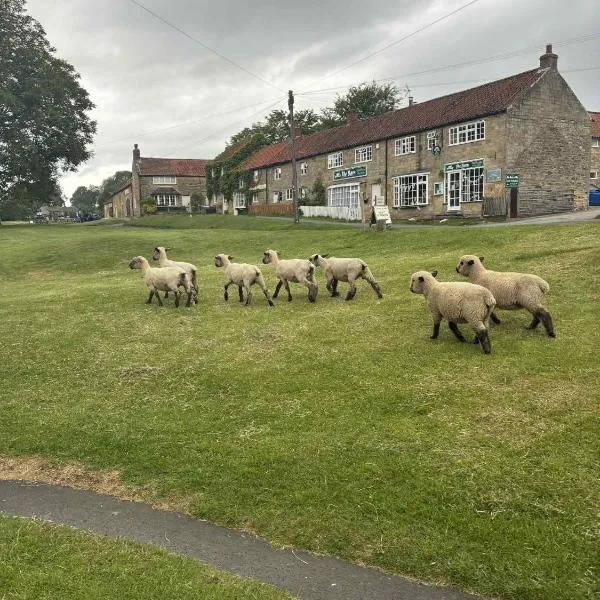 The Barn Guest House and Tearoom，位于Hutton le Hole的酒店