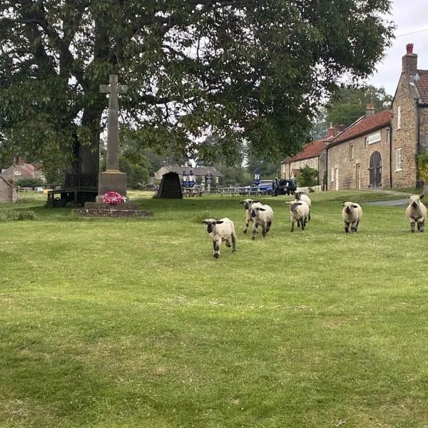 The Barn Guest House and Tearoom，位于Hutton le Hole的酒店