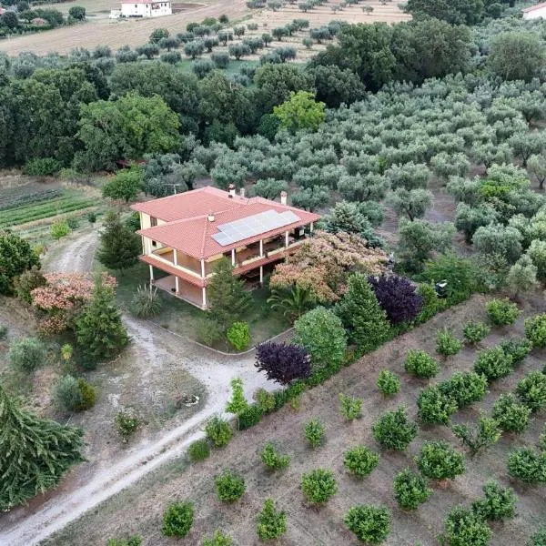 Agriturismo Le Quattro Stagioni，位于维泰博的酒店
