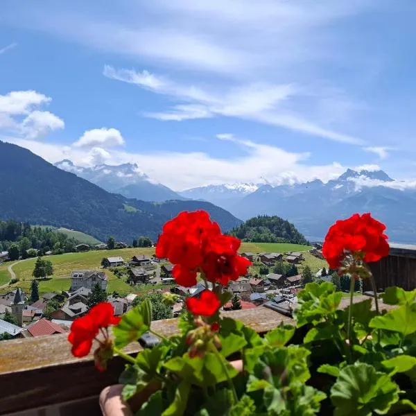 Le Nid d'aigle apt Leysin centre avec forfait piscine sauna jacuzzi en option，位于莱森的酒店