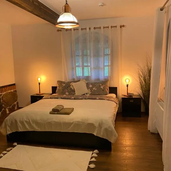 Countryside double bed room Kisiniai，位于Kisiniai的酒店