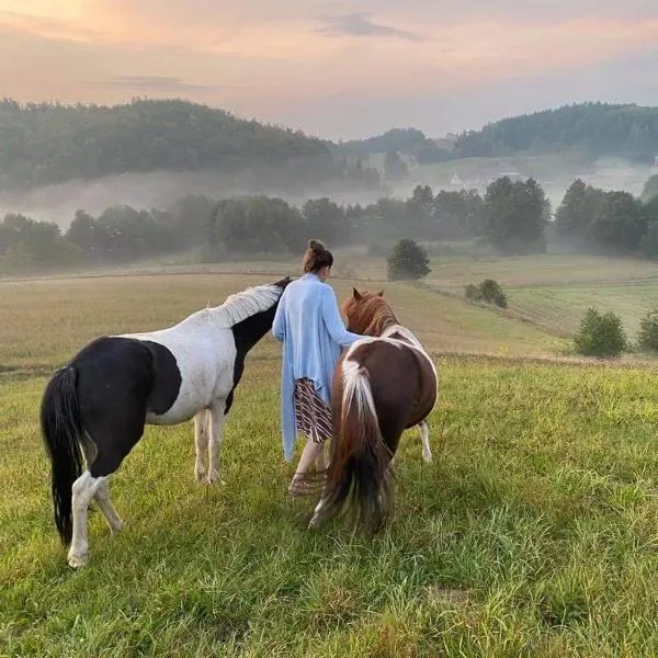 Happy Horse Sosnowa Góra，位于Przetoczyno的酒店