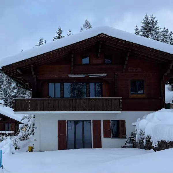 Chalet Schneelöwe,位于Bettelried的酒店