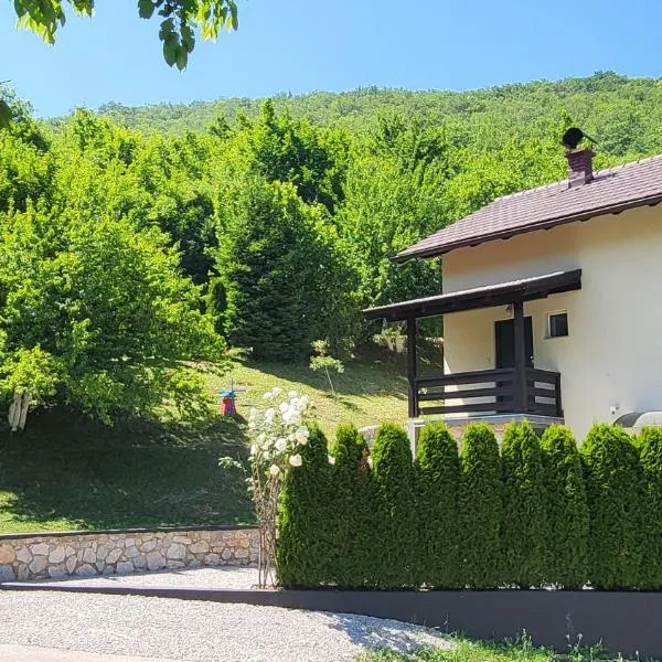 Villa Igmanski san，位于Sarajevo的酒店
