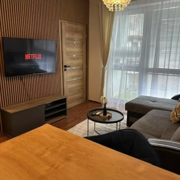 Modern 2-bedroom apartment with balcony，位于马拉茨基的酒店