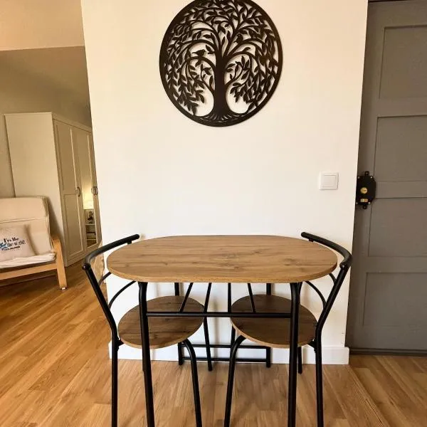 Casa Miká，位于帕雷迪的酒店