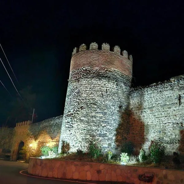 Sighnaghi Hotel Fence Door&Сигнахи Отель Ворота Крепости&სიღნაღი სასტუმრო გალავნის კარი，位于西格纳吉的酒店