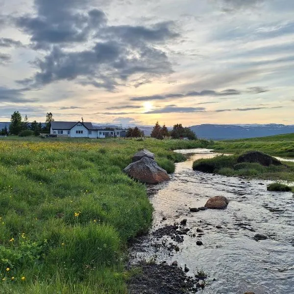 Hallfreðarstaðir 1 Apartments，位于Hallfreðarstaðir的酒店