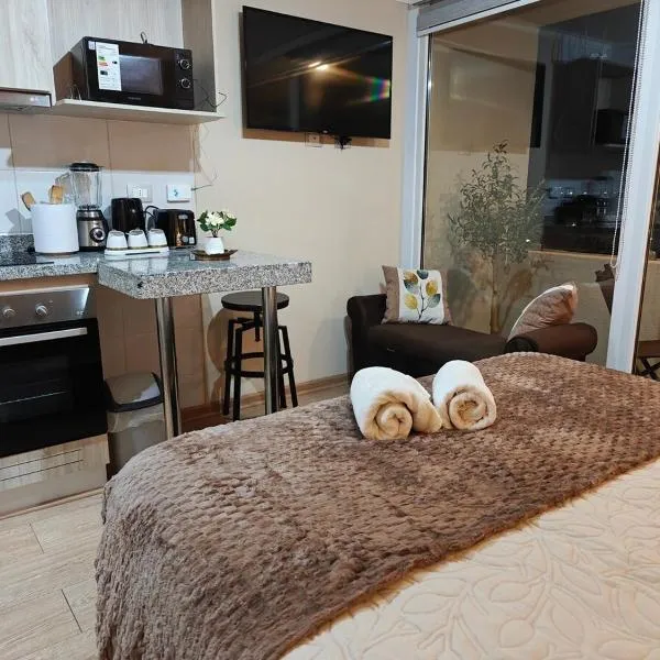 Depto centro de chillan con estacionamiento，位于奇廉的酒店