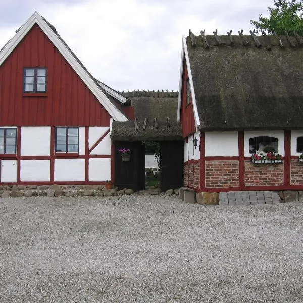 B&B Hannåsa Gård，位于Borrby的酒店