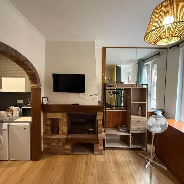 Studio Magnifique，位于Darnétal的酒店