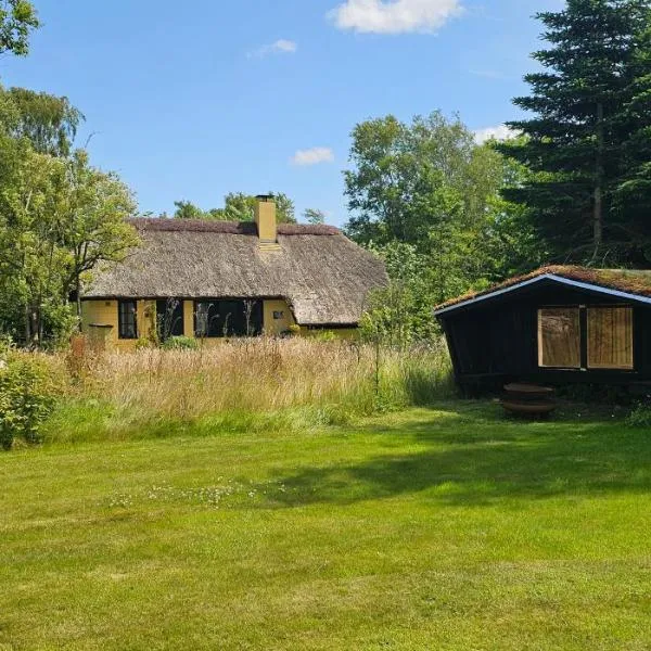 Astrup Vig Hideaway, Thatched Cottage with Shelter & Serenity，位于Roslev的酒店