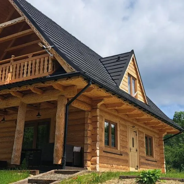 Dom U Eskulapa，位于卢托维斯卡的酒店