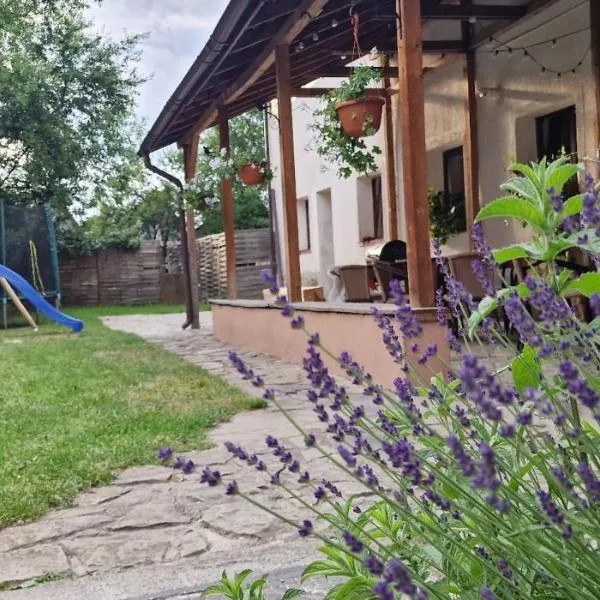 StudioRasnov，位于莱斯诺夫的酒店