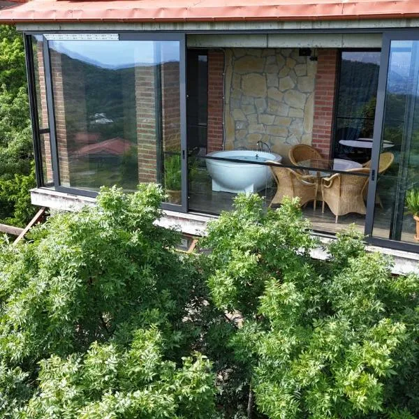 Villa Vejini，位于Mamkoda的酒店