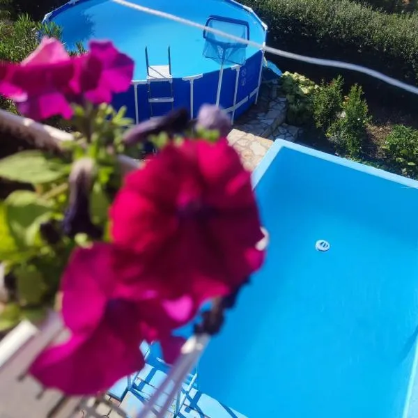 Lux Apartmans - VILA JUGOVO，位于Udovice的酒店