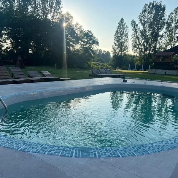 Casa cu Flori Maramures，位于巴亚马雷的酒店