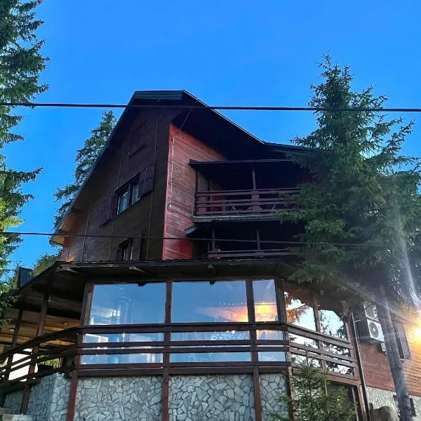 Whispering Pines，位于Šišava的酒店