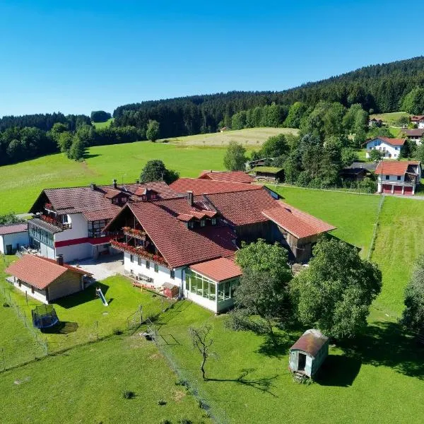 Hotel Hirschenstein，位于阿赫斯拉赫的酒店
