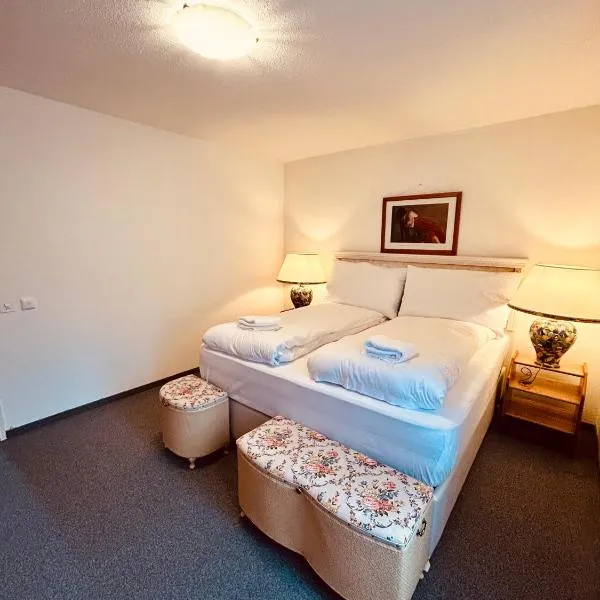 Gemütliches und geräumiges Apartment für Familien und Gruppen mit Seeblick，位于海登的酒店