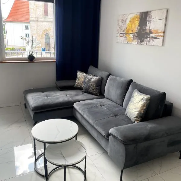 DS Apartament，位于博莱斯瓦维茨的酒店